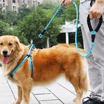 Load image into Gallery viewer, Reflective Pet Belt Rope