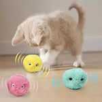 Load image into Gallery viewer, Interactive Ball Smart Pet Toys