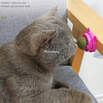 Load image into Gallery viewer, Pet Wall Stick-on Ball Toy