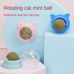 Load image into Gallery viewer, Pet Wall Stick-on Ball Toy