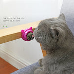 Load image into Gallery viewer, Pet Wall Stick-on Ball Toy