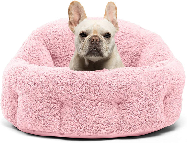 Self- Warming Cat and Dog Bed, Large Size, Multiple Colors