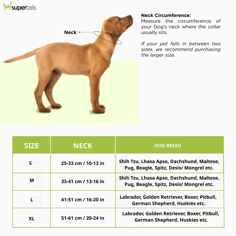 Floof & Co Bow for Dogs (Black & Red)