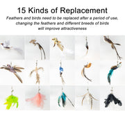 Handfeed Bird/Feather Pet Toys