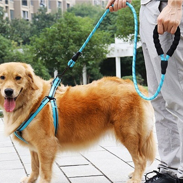 Reflective Pet Belt Rope