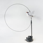 Handfeed Bird/Feather Pet Toys