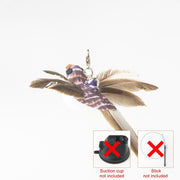 Handfeed Bird/Feather Pet Toys
