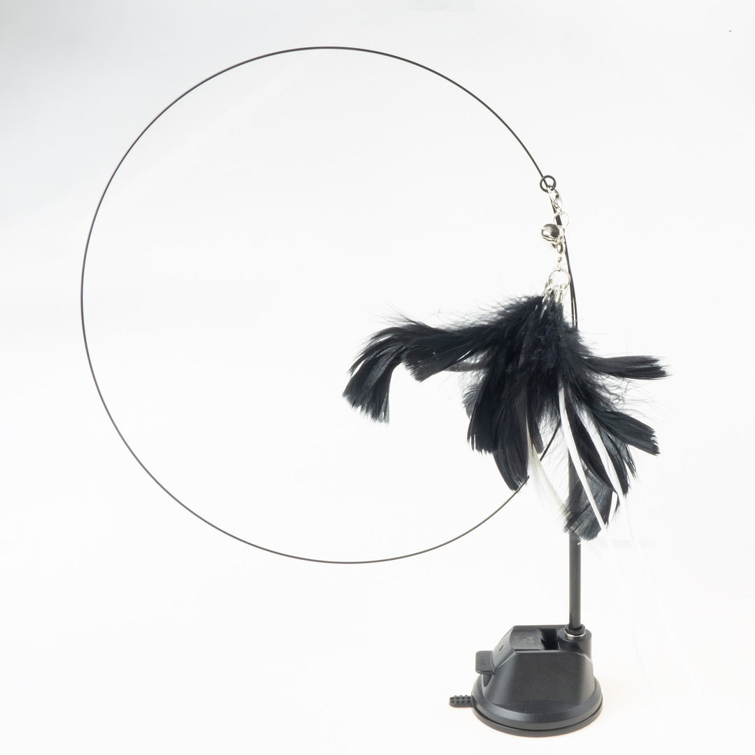 Handfeed Bird/Feather Pet Toys