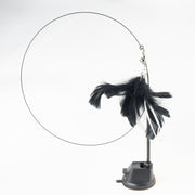 Handfeed Bird/Feather Pet Toys