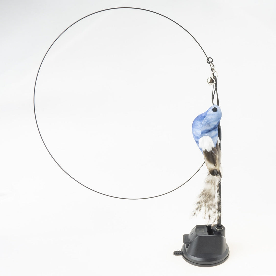 Handfeed Bird/Feather Pet Toys