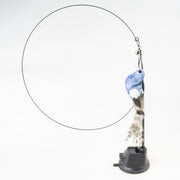 Handfeed Bird/Feather Pet Toys