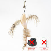 Handfeed Bird/Feather Pet Toys