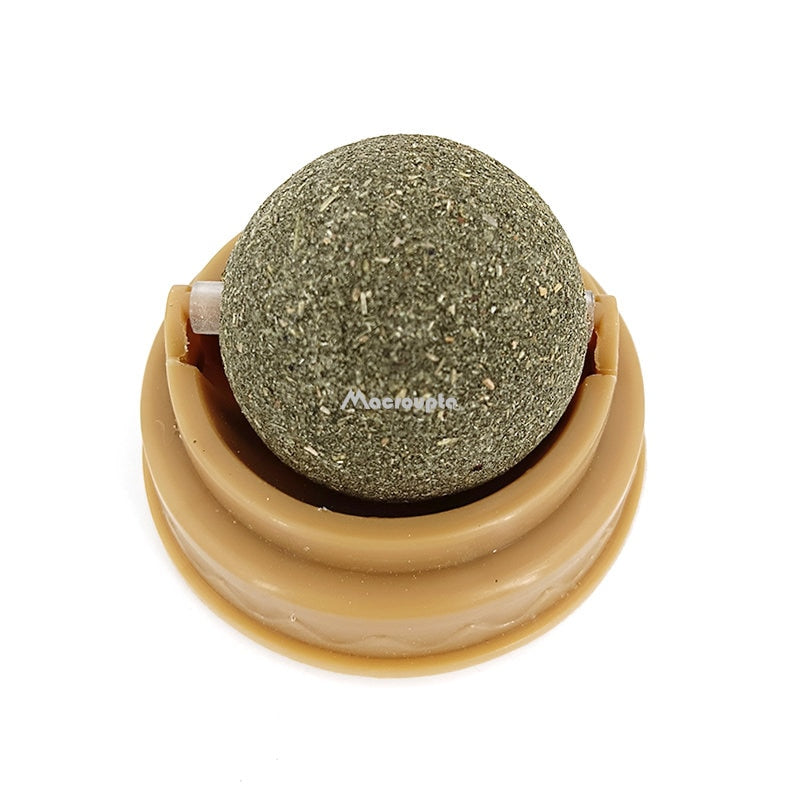 Pet Wall Stick-on Ball Toy