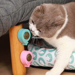 Load image into Gallery viewer, Pet Wall Stick-on Ball Toy
