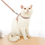Load image into Gallery viewer, Small Pet Vest Breathable Leash