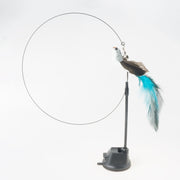 Handfeed Bird/Feather Pet Toys
