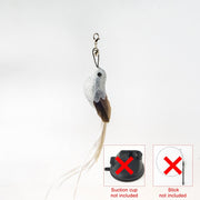 Handfeed Bird/Feather Pet Toys
