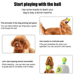 Load image into Gallery viewer, Automatic dog tennis ball launcher